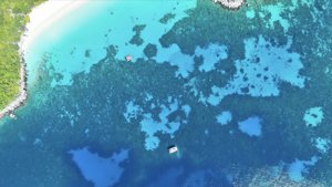 海