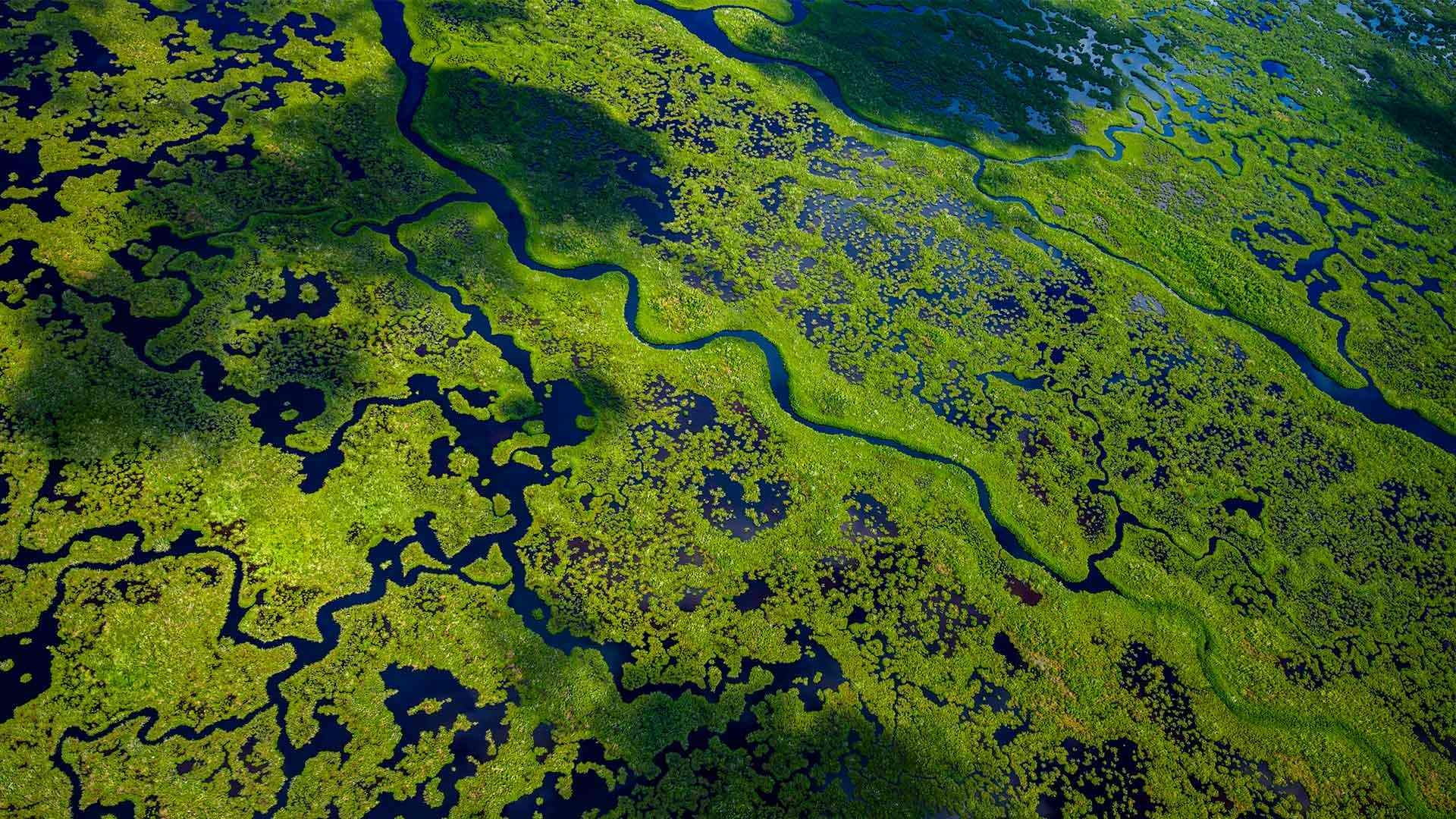 顺流而行